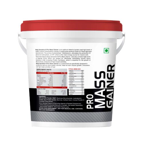 PRO MASS GAINER 4.5 kg (10 lb)